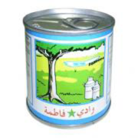 Wadi Fatimah Milk 200ml