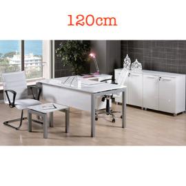 Modern Office Desk without Side Table 120x80x74cm