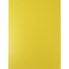 Roco Binding Cover A4 (21X29.7cm) Plastic Yellow
