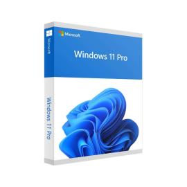 Windows 11 Pro 64Bit English 1PK DSP OEI DVD - FQC-10528