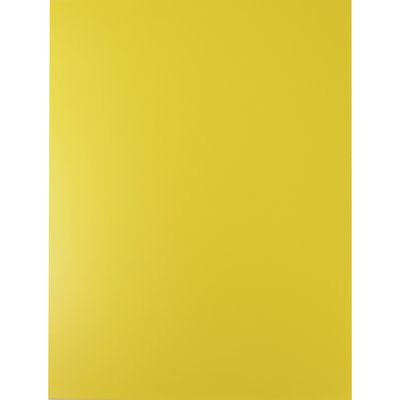 Roco Binding Cover A4 (21X29.7cm) Plastic Yellow 