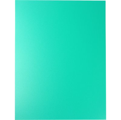 Roco Binding Cover A4 (21X29.7cm) Plastic Green 